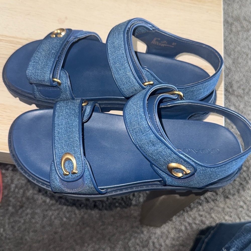Stylish Blue Sandals with Gold Accents